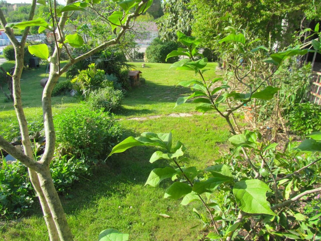 Apartman Ladybird Pula Luaran gambar